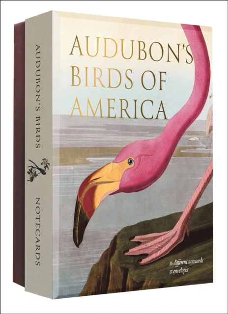 Book cover of: Audubon's Birds of America