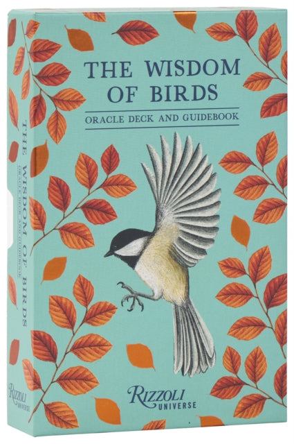 Wisdom of Birds