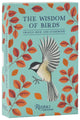Wisdom of Birds