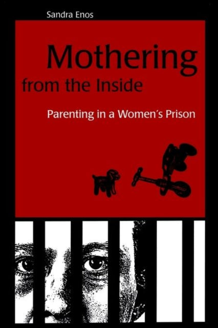Book cover of: Mothering from the Inside. By: Sandra Enos