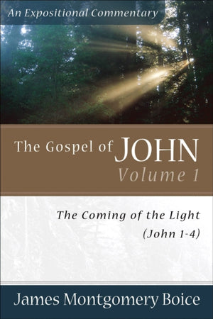 Gospel of John – The Coming of the Light (John 1–4)