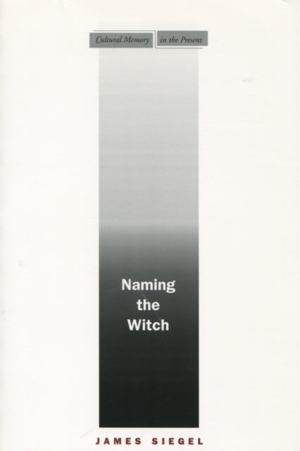 Book cover of: Naming the Witch