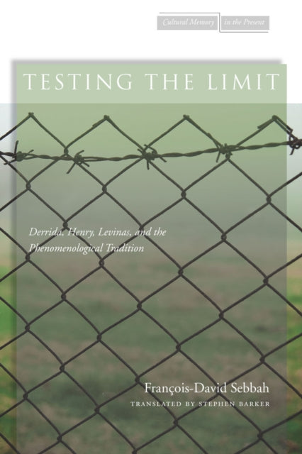 Book cover of: Testing the Limit. By: François-David Sebbah