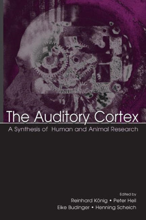 Auditory Cortex