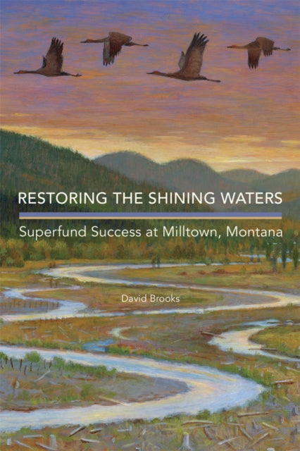Book cover of: Restoring the Shining Waters