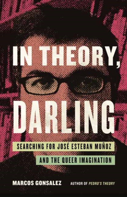 Book cover of: In Theory, Darling