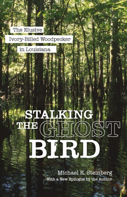Book cover of: Stalking the Ghost Bird. By: Michael K. Steinberg
