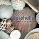 Book cover of: Seashells. By: Josie Iselin