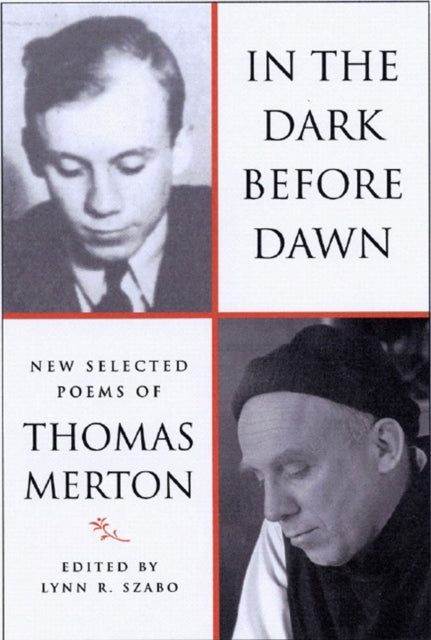 Book cover of: In the Dark Before Dawn