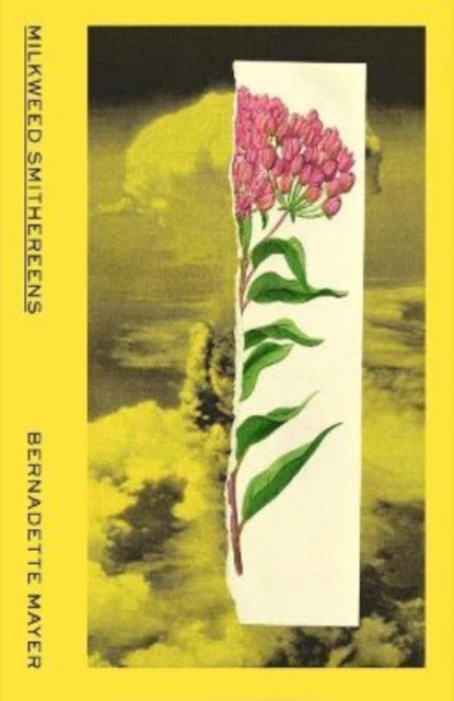 Book cover of: Milkweed Smithereens. By: Bernadette Mayer