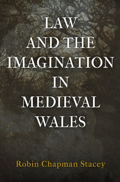 Book cover of: Law and the Imagination in Medieval Wales. By: Robin Chapman Stacey