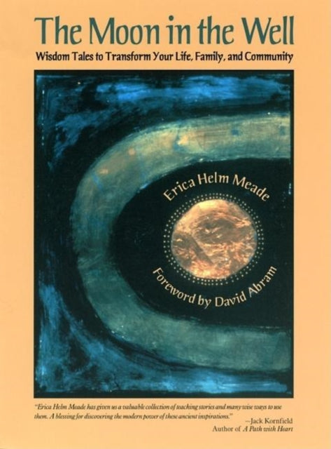 Book cover of: Moon in the Well. By: Erica Helm Meade