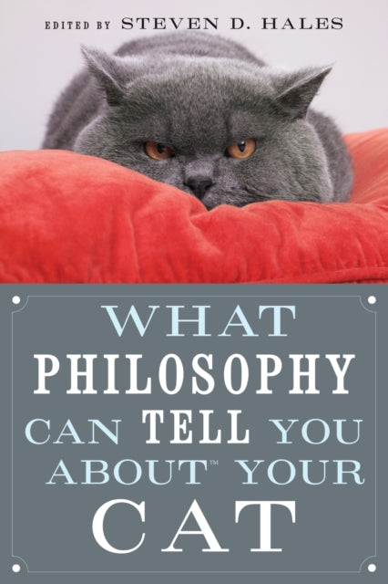 Book cover of: What Philosophy Can Tell You about Your Cat