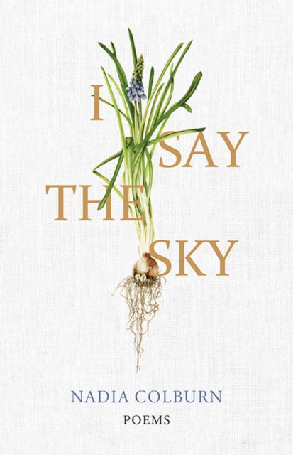 Book cover of: I Say the Sky. By: Nadia Colburn