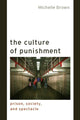 Book cover of: Culture of Punishment. By: Michelle Brown