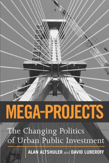 Book cover of: Mega-Projects