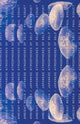 Book cover of: Ambient Media. By: Paul Roquet
