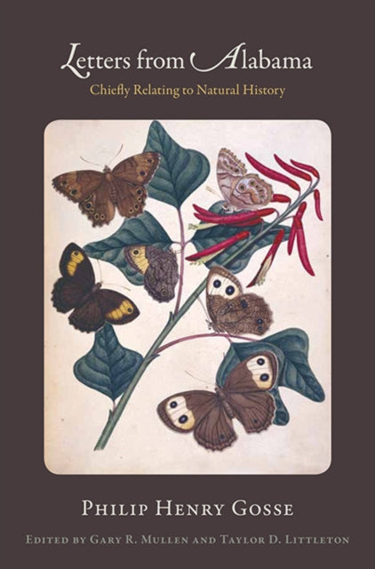Book cover of: Letters from Alabama. By: Philip Henry Gosse