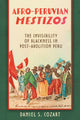 Book cover of: Afro-Peruvian Mestizos. By: Daniel S. Cozart