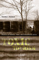 Book cover of: Toxic Tourism