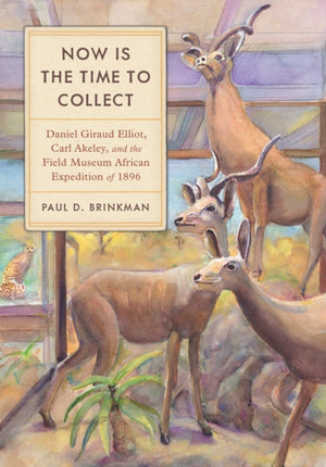 Now Is the Time to Collect