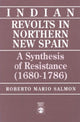 Book cover of: Indian Revolts in Northern New Spain