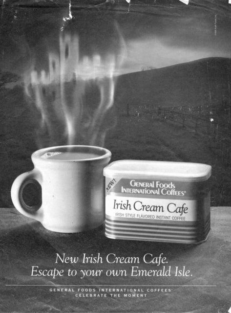 Book cover of: Irish in Us. By: Diane Negra