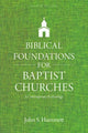 Book cover of: Biblical Foundations for Baptist Churches – A Contemporary Ecclesiology. By: John S. Hammett