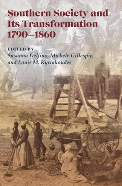 Book cover of: Southern Society and Its Transformations