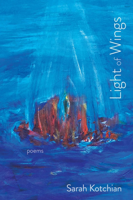 Book cover of: Light of Wings. By: Sarah Kotchian