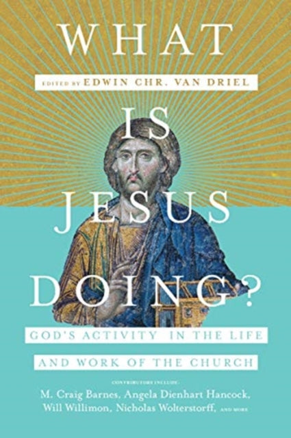 Book cover of: What Is Jesus Doing? – God`s Activity in the Life and Work of the Church. By: Edwin Chr van Driel