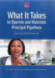 Book cover of: What It Takes to Operate and Maintain Principal Pipelines. By: Julia H. Kaufman