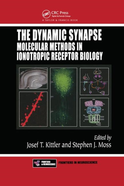 The Dynamic Synapse