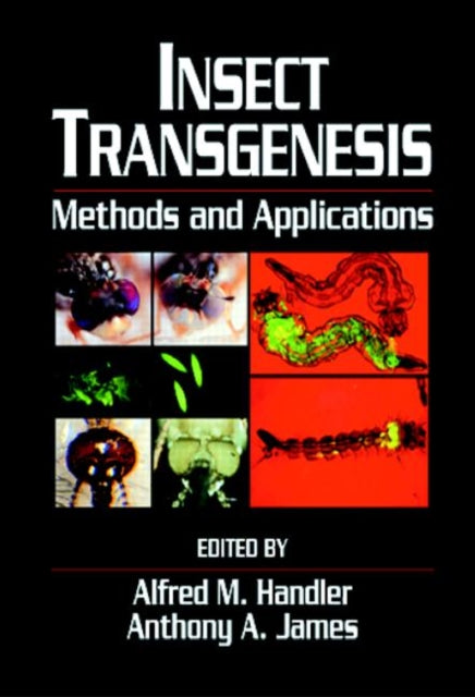 Book cover of: Insect Transgenesis