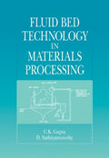 Fluid Bed Technology in Materials Processing