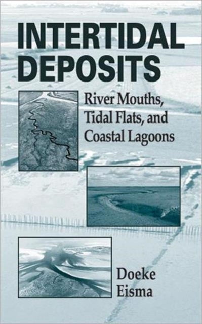 Book cover of: Intertidal Deposits