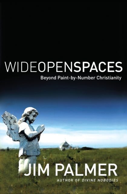 Book cover of: Wide Open Spaces. By: Jim Palmer