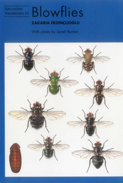 Book cover of: Blowflies. By: Zakaria Erzinçlioglu