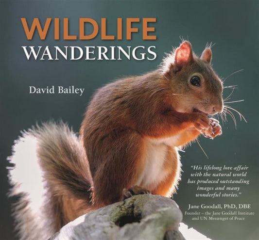 Book cover of: Wildlife Wanderings. By: David Bailey