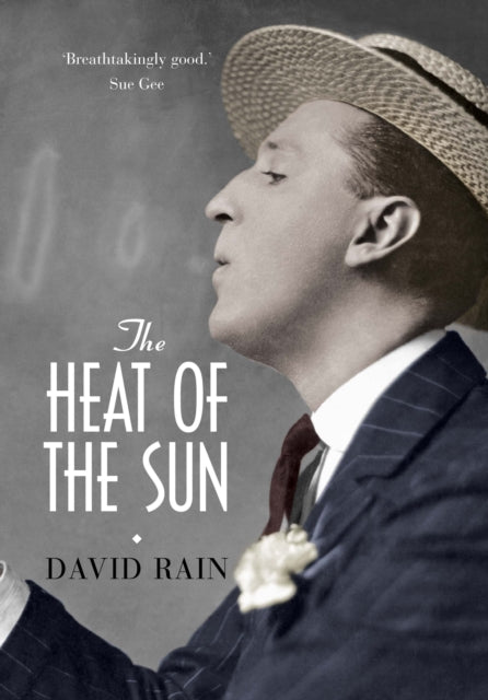 Book cover of: Heat of the Sun. By: David Rain