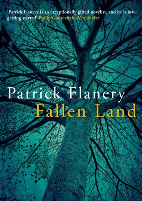 Book cover of: Fallen Land. By: Patrick Flanery