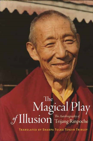 Magical Play of Illusion