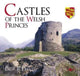 Book cover of: Castles of the Welsh Princes. By: Paul R. Davis