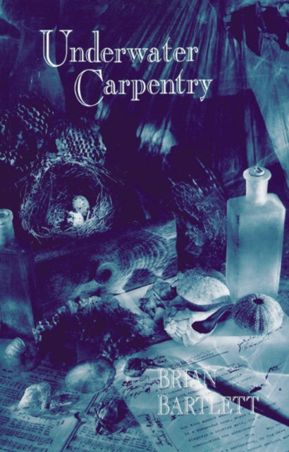 Book cover of: Underwater Carpentry