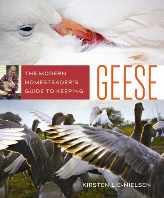 Book cover of: Modern Homesteader's Guide to Keeping Geese. By: Kirsten Lie-Nielsen