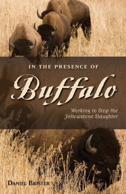 Book cover of: In the Presence of Buffalo. By: Daniel Brister