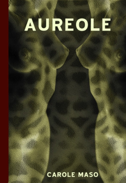 Book cover of: Aureole
