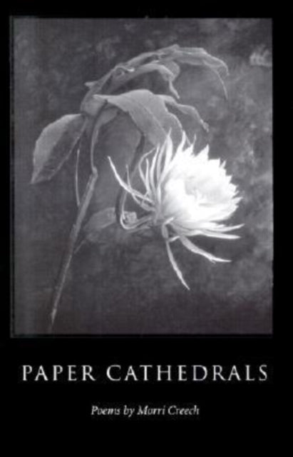 Book cover of: Paper Cathedrals
