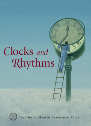 Clocks and Rhythms
