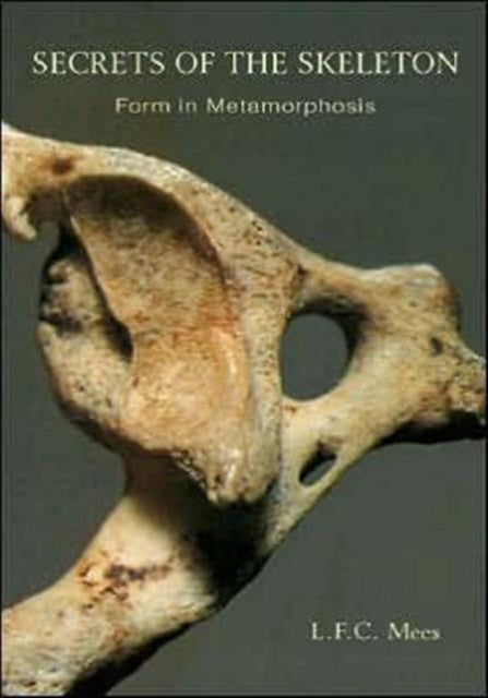 Book cover of: Secrets of the Skeleton